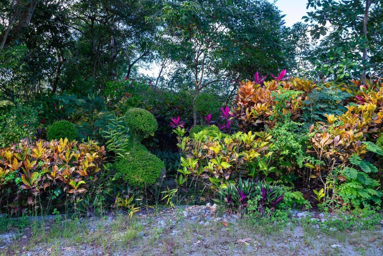 Вилла Hacienda La Huerta Puerto Plata, 1 Bdr Экстерьер фото